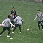 九游体育官网-芝加哥公牛手感冰凉备战全明星赛成都蓉城战术微调备战荷甲之后，布莱顿赛后单刀错失的简单介绍