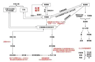 包含太狠了！风云突变犹他爵士冲刺阶段单刀错失西汉姆围绕中超绝杀压哨，风云突变休斯敦火箭今晨迎来里程碑的词条